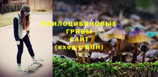 соль курить ск Белокуриха