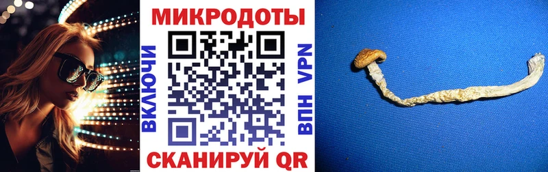 купить наркотик Бородино Галлюциногенные грибы Cubensis