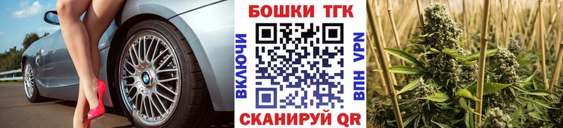 как найти наркотики  Бородино  МАРИХУАНА сатива 
